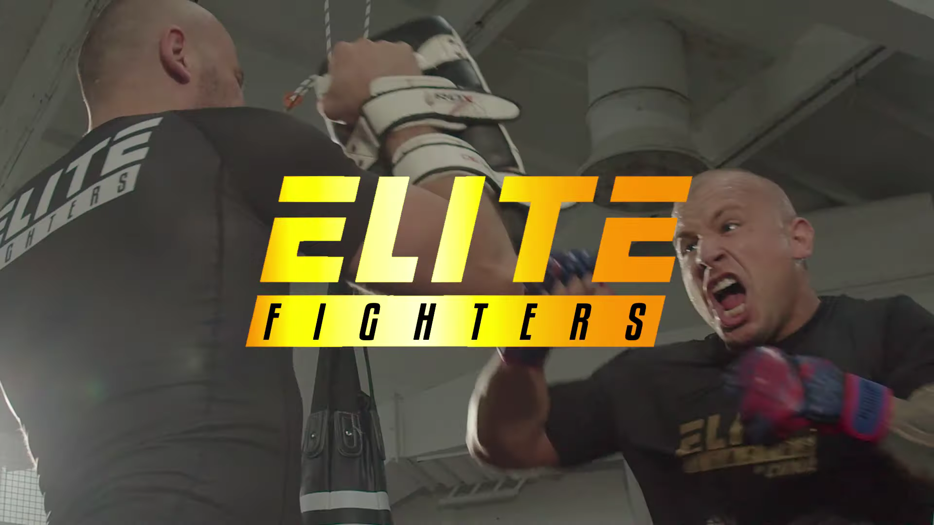 Gdzie oglądać Elite Fighters: Jak wykupić PPV? Jaka cena PPV?