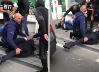 (VIDEO) Zawodnik MMA znokautował dwóch policjantów! Z ciężkimi obrażeniami trafili do szpitala!